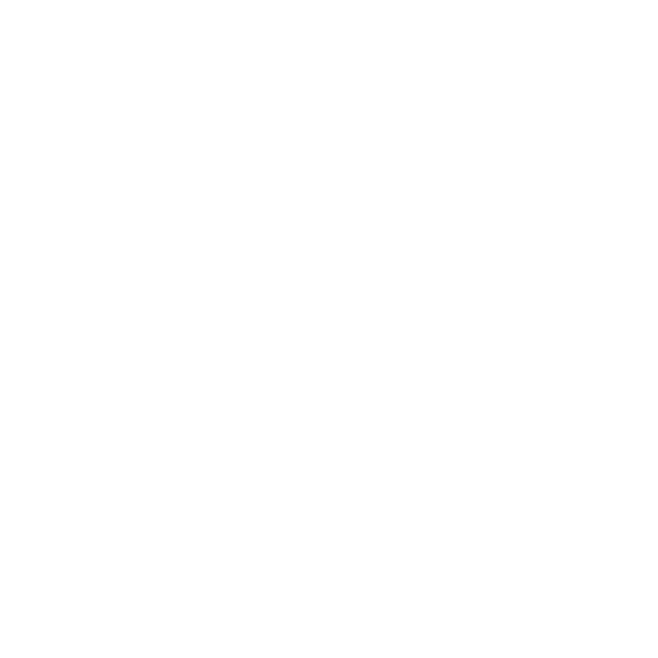International Year of the Bats 2027 logo