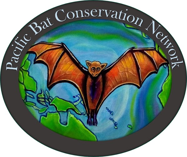 Pacific Bat Conservation Network (PacBat)